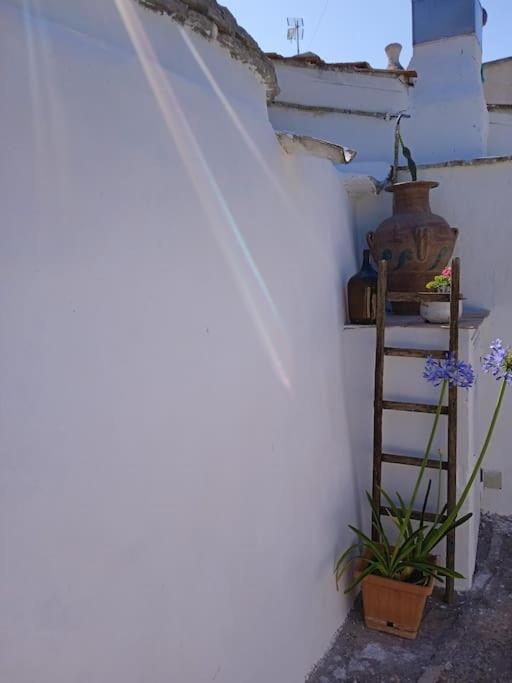 Gasphouse Villa Castellana Grotte Exterior photo