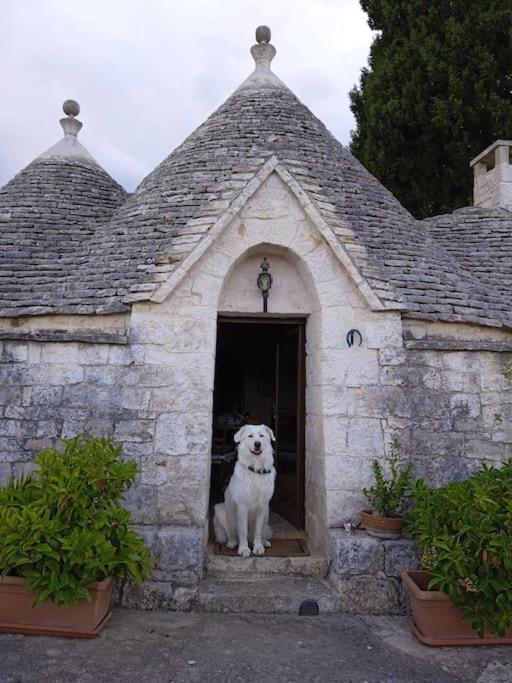 Gasphouse Villa Castellana Grotte Exterior photo