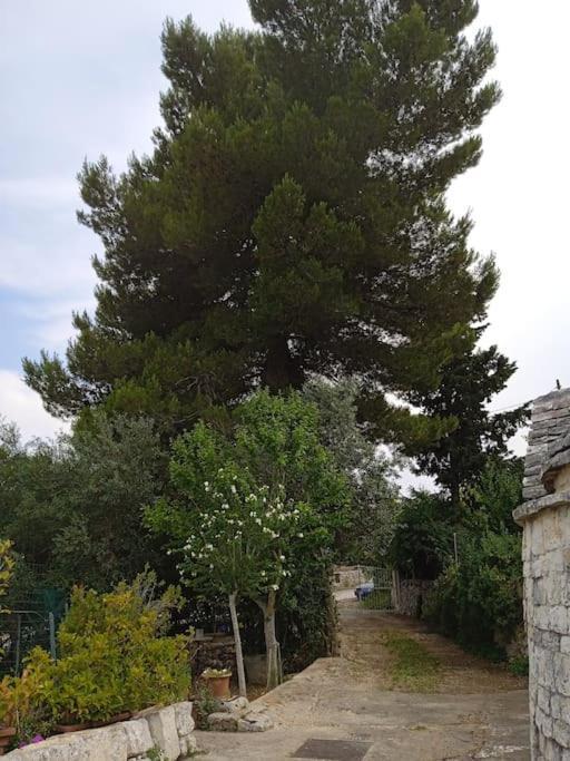 Gasphouse Villa Castellana Grotte Exterior photo