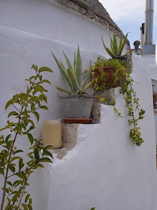 Gasphouse Villa Castellana Grotte Exterior photo