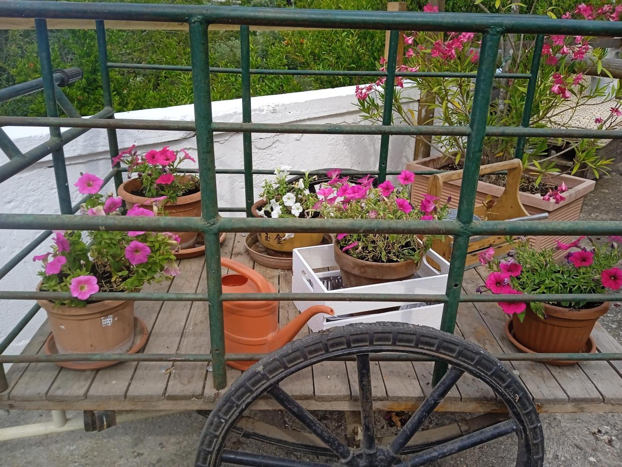 Gasphouse Villa Castellana Grotte Exterior photo